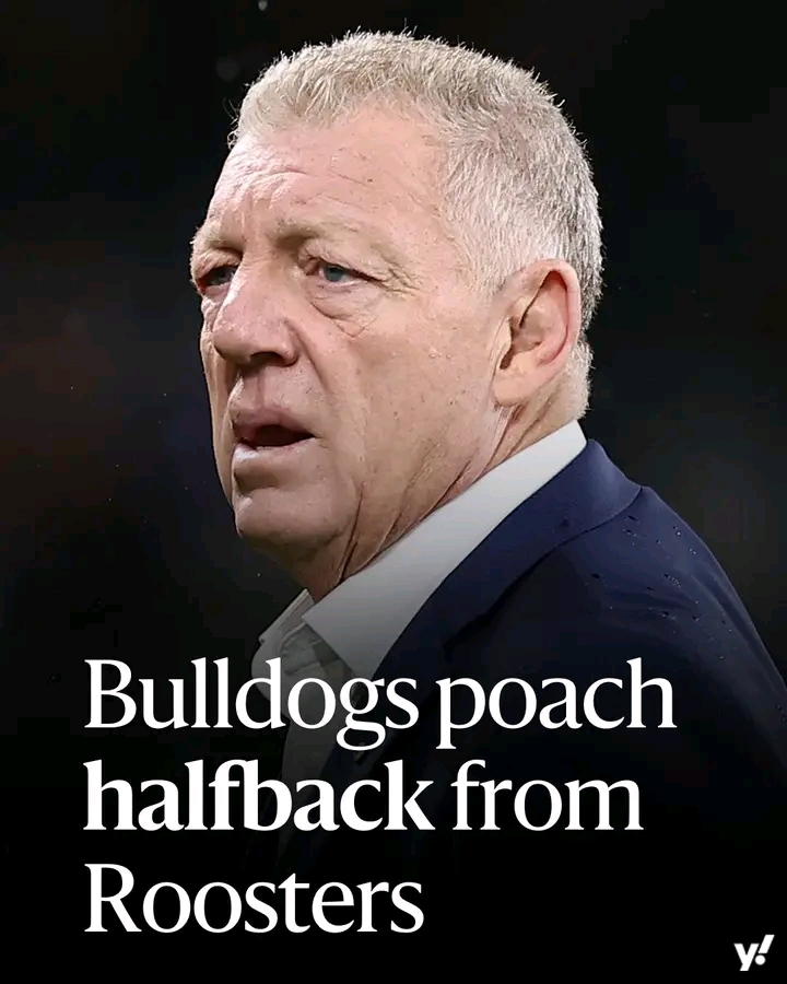 NRL BOMBSHELL: Canterbury- Bankstown Bulldogs: Continue Signing Spree, Poach Promising Playmaker from Roosters Another ma…